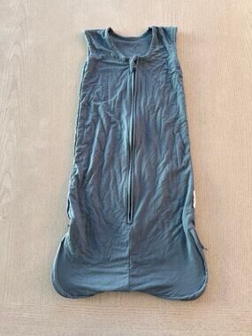 Owlet Baby Dream Sleeper Sleep Sack Blue